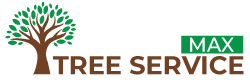 Expert Tree Services in Aurora, CO