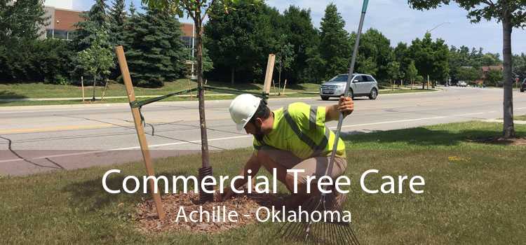 Commercial Tree Care Achille - Oklahoma