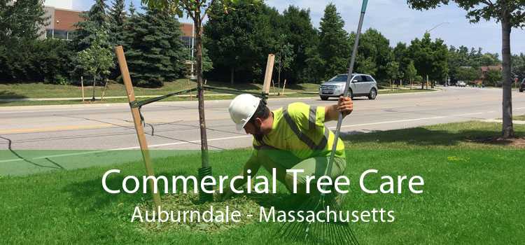 Commercial Tree Care Auburndale - Massachusetts