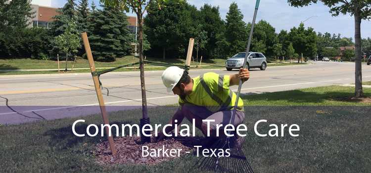 Commercial Tree Care Barker - Texas