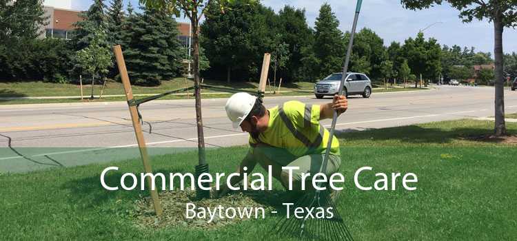 Commercial Tree Care Baytown - Texas