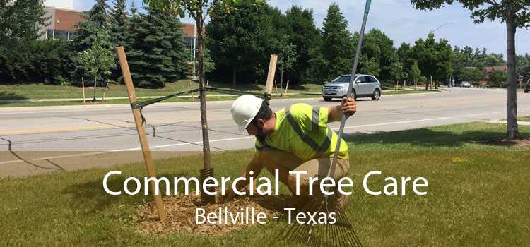 Commercial Tree Care Bellville - Texas