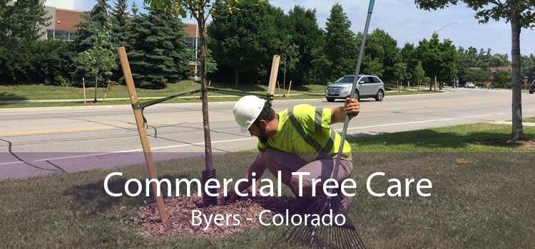 Commercial Tree Care Byers - Colorado