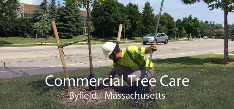 Commercial Tree Care Byfield - Massachusetts