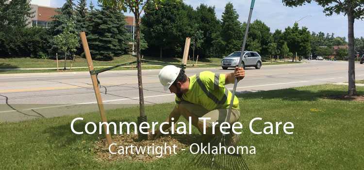 Commercial Tree Care Cartwright - Oklahoma