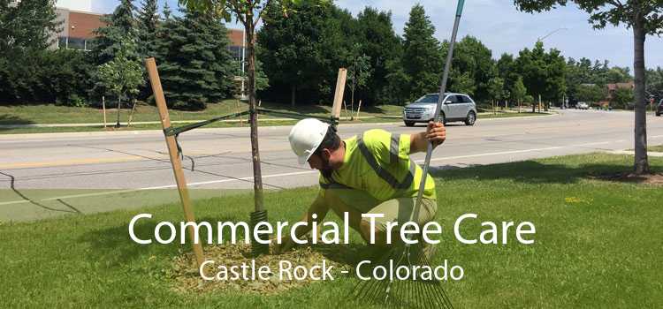 Commercial Tree Care Castle Rock - Colorado