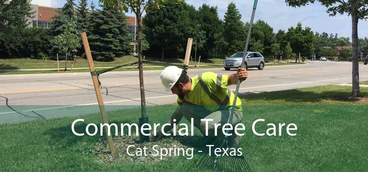 Commercial Tree Care Cat Spring - Texas