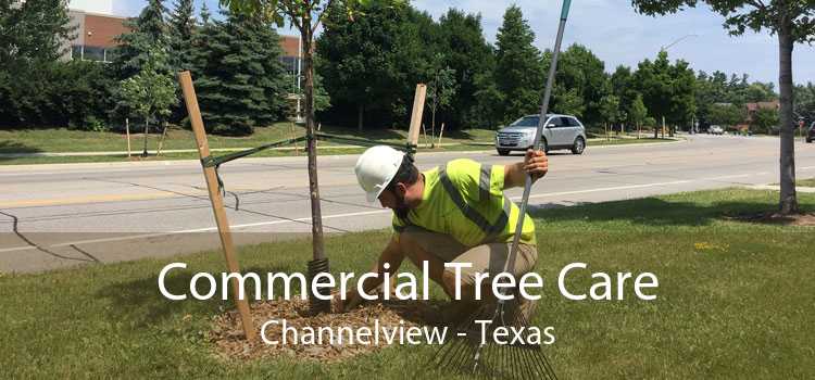 Commercial Tree Care Channelview - Texas