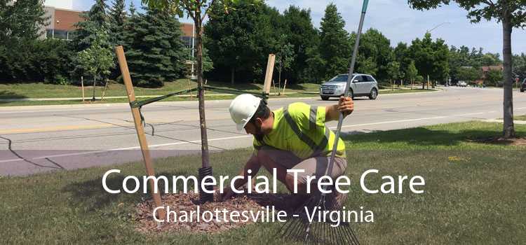 Commercial Tree Care Charlottesville - Virginia