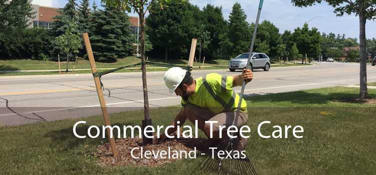 Commercial Tree Care Cleveland - Texas