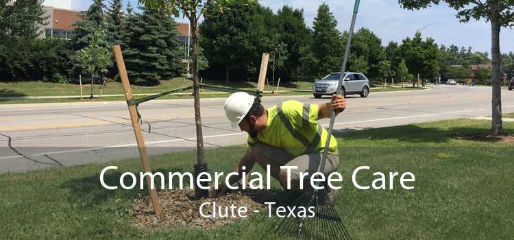 Commercial Tree Care Clute - Texas