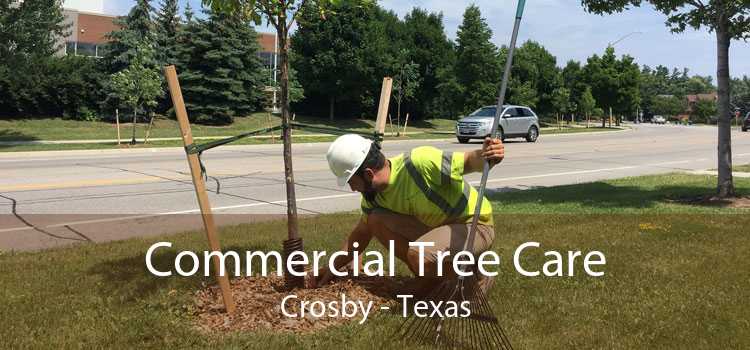 Commercial Tree Care Crosby - Texas