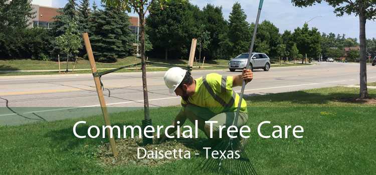 Commercial Tree Care Daisetta - Texas