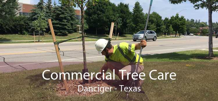 Commercial Tree Care Danciger - Texas
