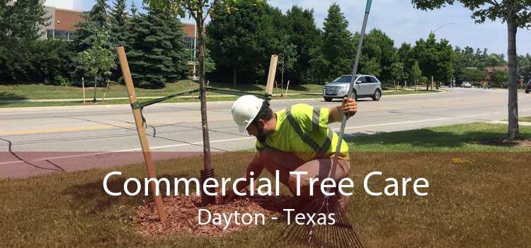 Commercial Tree Care Dayton - Texas