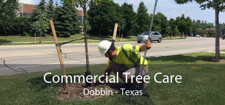 Commercial Tree Care Dobbin - Texas