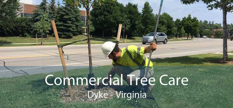 Commercial Tree Care Dyke - Virginia