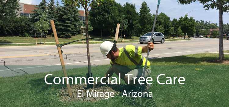 Commercial Tree Care El Mirage - Arizona