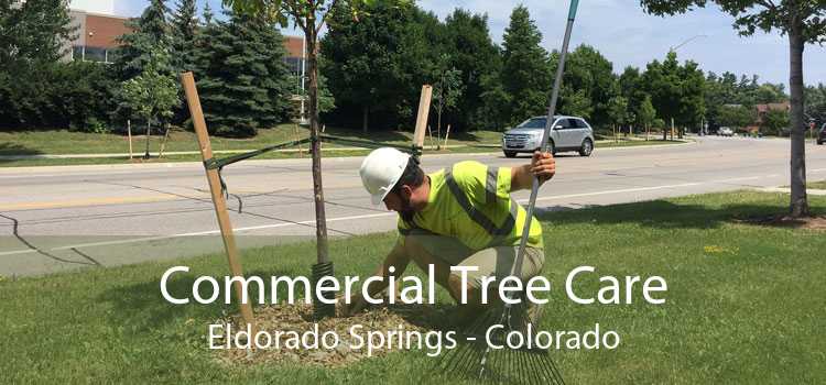 Commercial Tree Care Eldorado Springs - Colorado