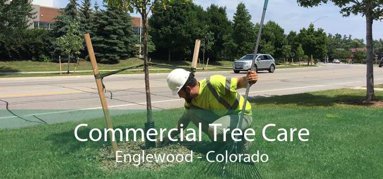 Commercial Tree Care Englewood - Colorado