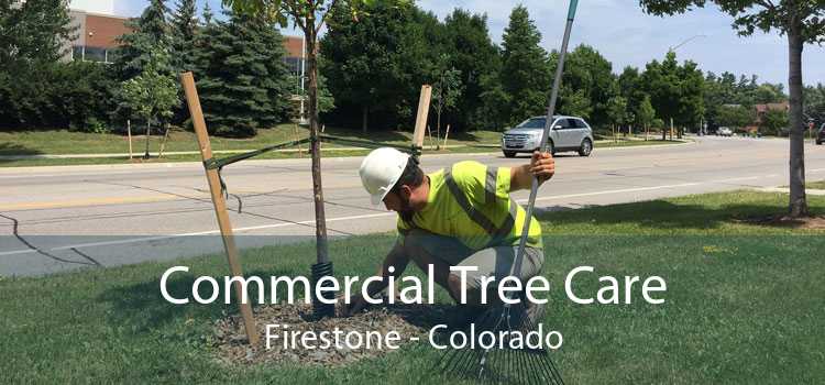 Commercial Tree Care Firestone - Colorado