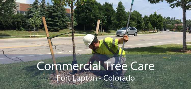 Commercial Tree Care Fort Lupton - Colorado