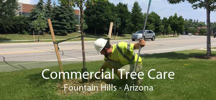 Commercial Tree Care Fountain Hills - Arizona