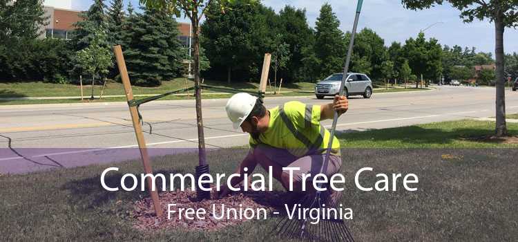 Commercial Tree Care Free Union - Virginia