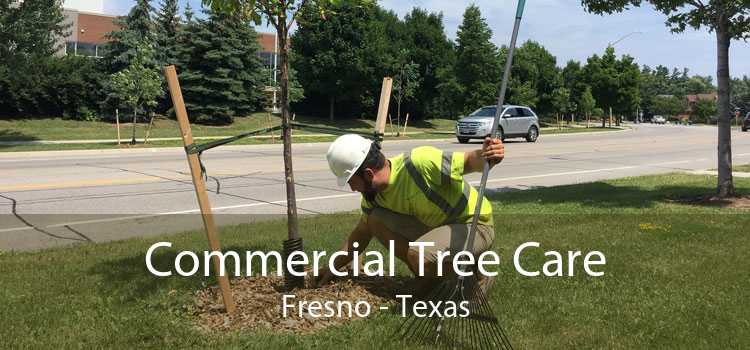 Commercial Tree Care Fresno - Texas