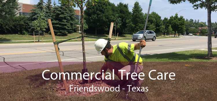 Commercial Tree Care Friendswood - Texas