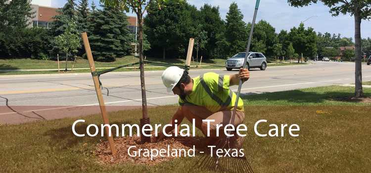 Commercial Tree Care Grapeland - Texas