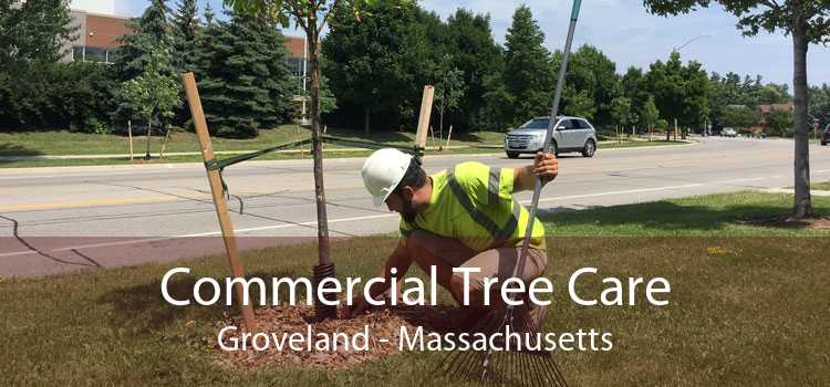 Commercial Tree Care Groveland - Massachusetts