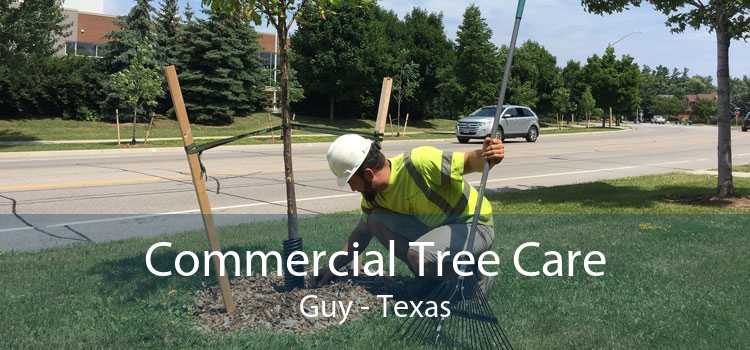 Commercial Tree Care Guy - Texas