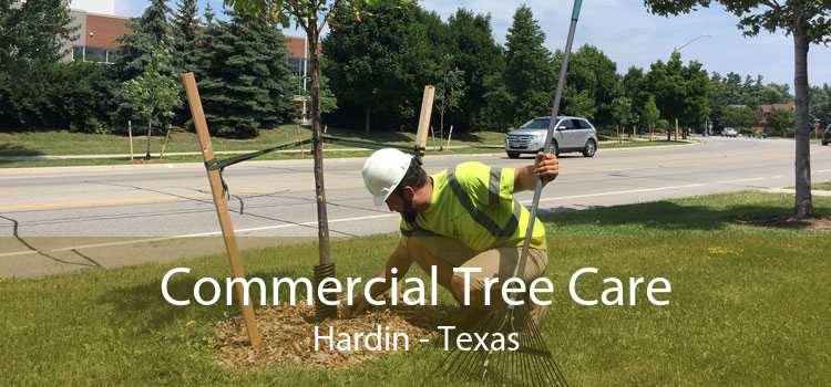 Commercial Tree Care Hardin - Texas