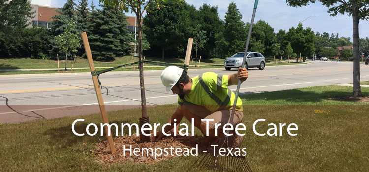 Commercial Tree Care Hempstead - Texas