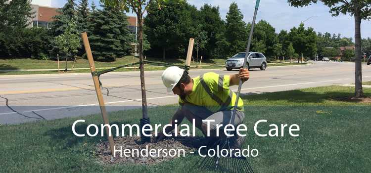 Commercial Tree Care Henderson - Colorado