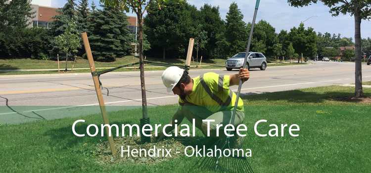 Commercial Tree Care Hendrix - Oklahoma