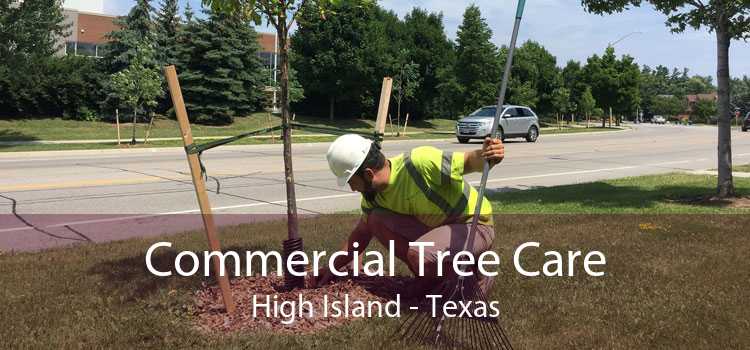 Commercial Tree Care High Island - Texas