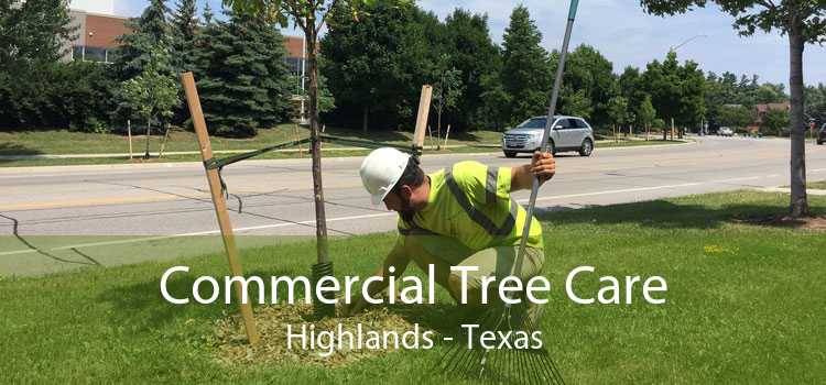 Commercial Tree Care Highlands - Texas
