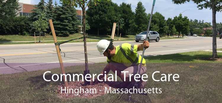 Commercial Tree Care Hingham - Massachusetts