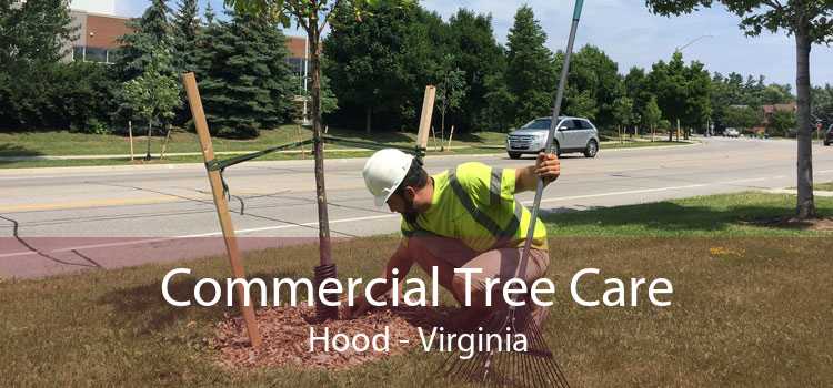 Commercial Tree Care Hood - Virginia