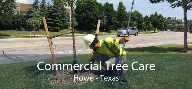 Commercial Tree Care Howe - Texas