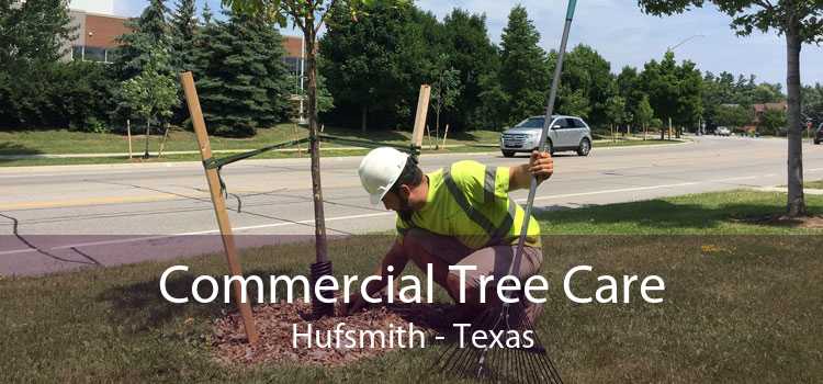 Commercial Tree Care Hufsmith - Texas