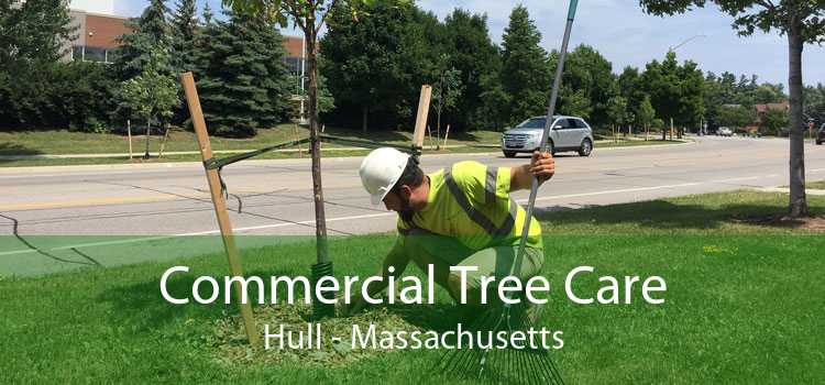 Commercial Tree Care Hull - Massachusetts