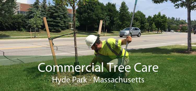 Commercial Tree Care Hyde Park - Massachusetts