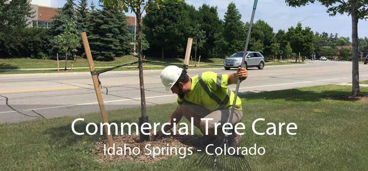 Commercial Tree Care Idaho Springs - Colorado