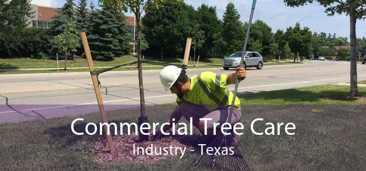 Commercial Tree Care Industry - Texas