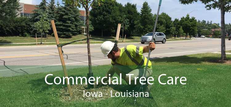Commercial Tree Care Iowa - Louisiana