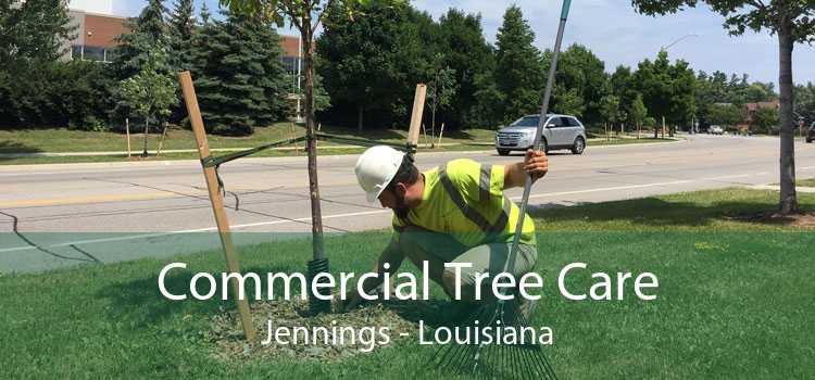 Commercial Tree Care Jennings - Louisiana