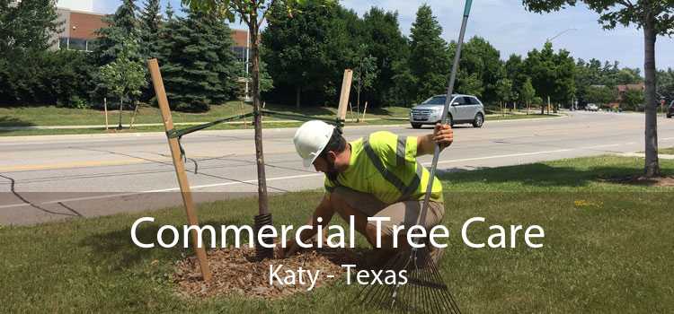 Commercial Tree Care Katy - Texas